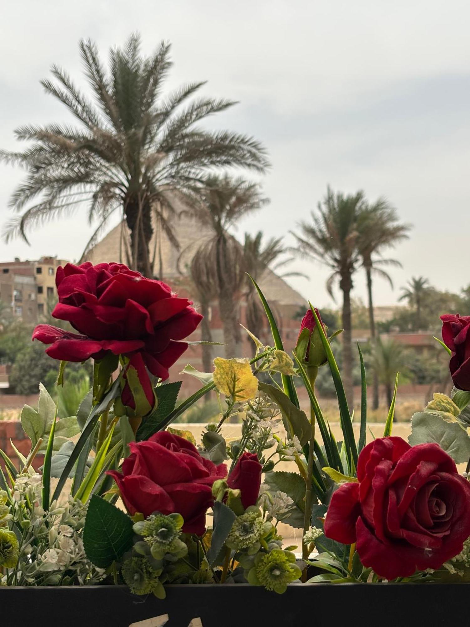Al Kawm al Akhdar Master Pyramids Hotel מראה חיצוני תמונה